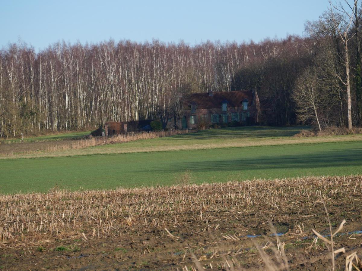 La Cabane Du Chasseur Flines-Les-Mortagne Exterior photo