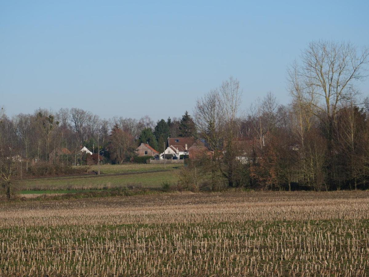 La Cabane Du Chasseur Flines-Les-Mortagne Exterior photo